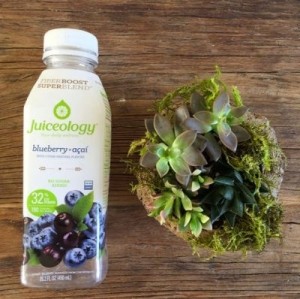 Juiceology-blueberry