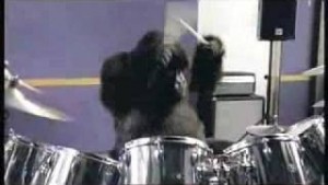 drumming gorilla
