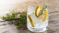 Record-year-for-UK-gin-with-growth-predicted-to-continue_strict_xxl
