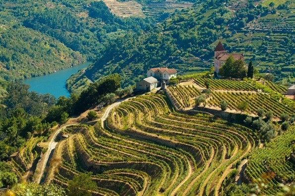 Languages have allowed Arturaola to travel extensively to wine regions, such as The Douro Valley in Portugal. Pic: iStock / PRG-Estudio