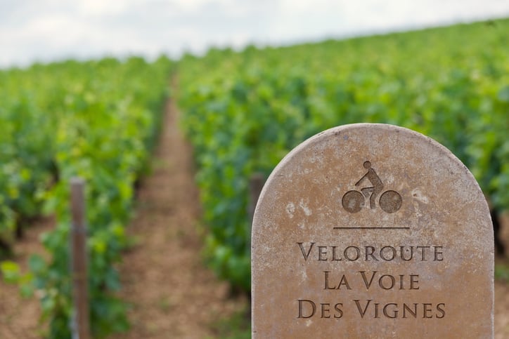 French winemakers hope initiatives such as cycle routes can increase oenotourism.