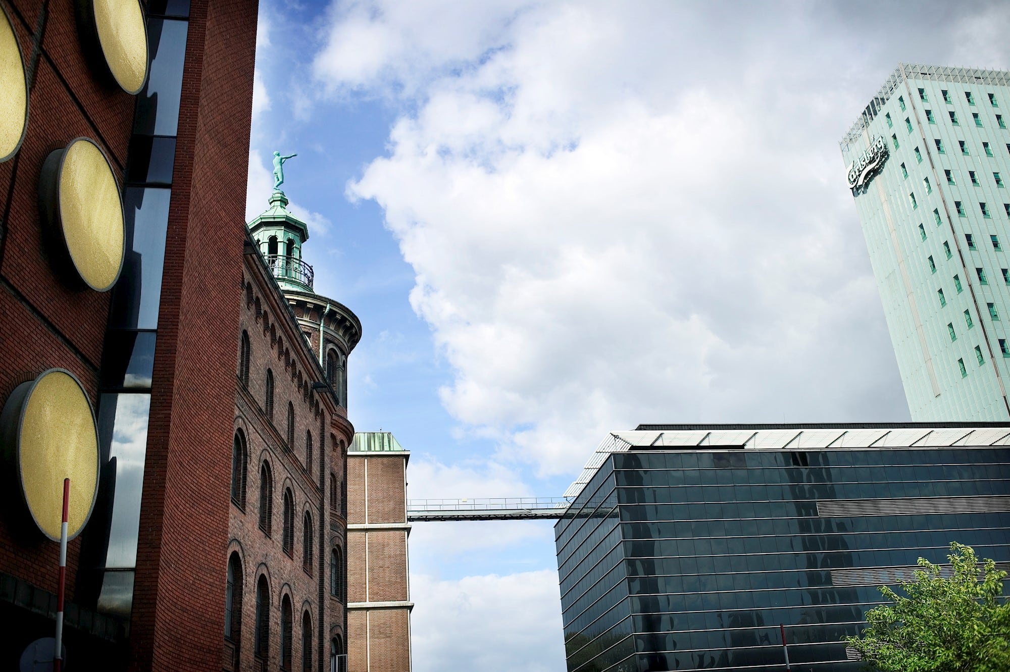 Carlsberg: ‘Our alcohol-free brews continue to significantly outperform the beer market’