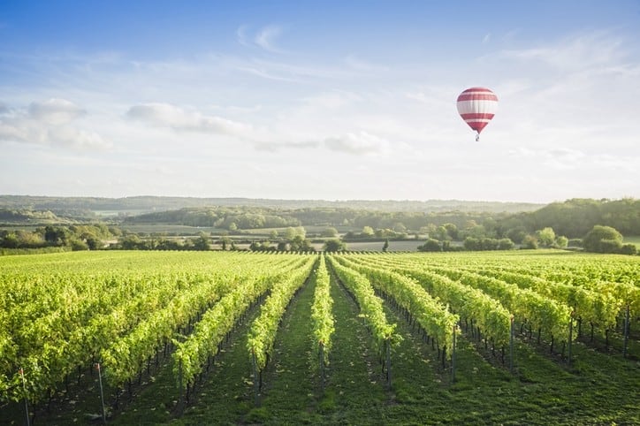 Global wine production figures for 2021
