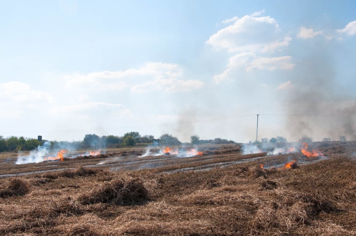 stubble-burning-getty-isidho.jpg