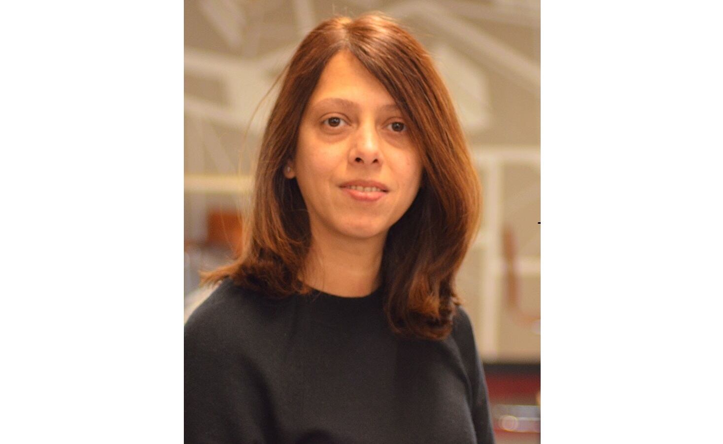 Lavanya Chandrashekar: New Diageo CFO