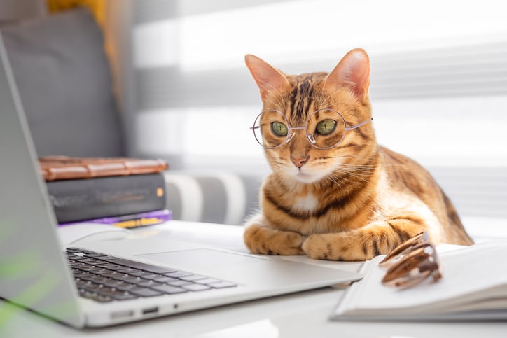 Our top 5 articles from March