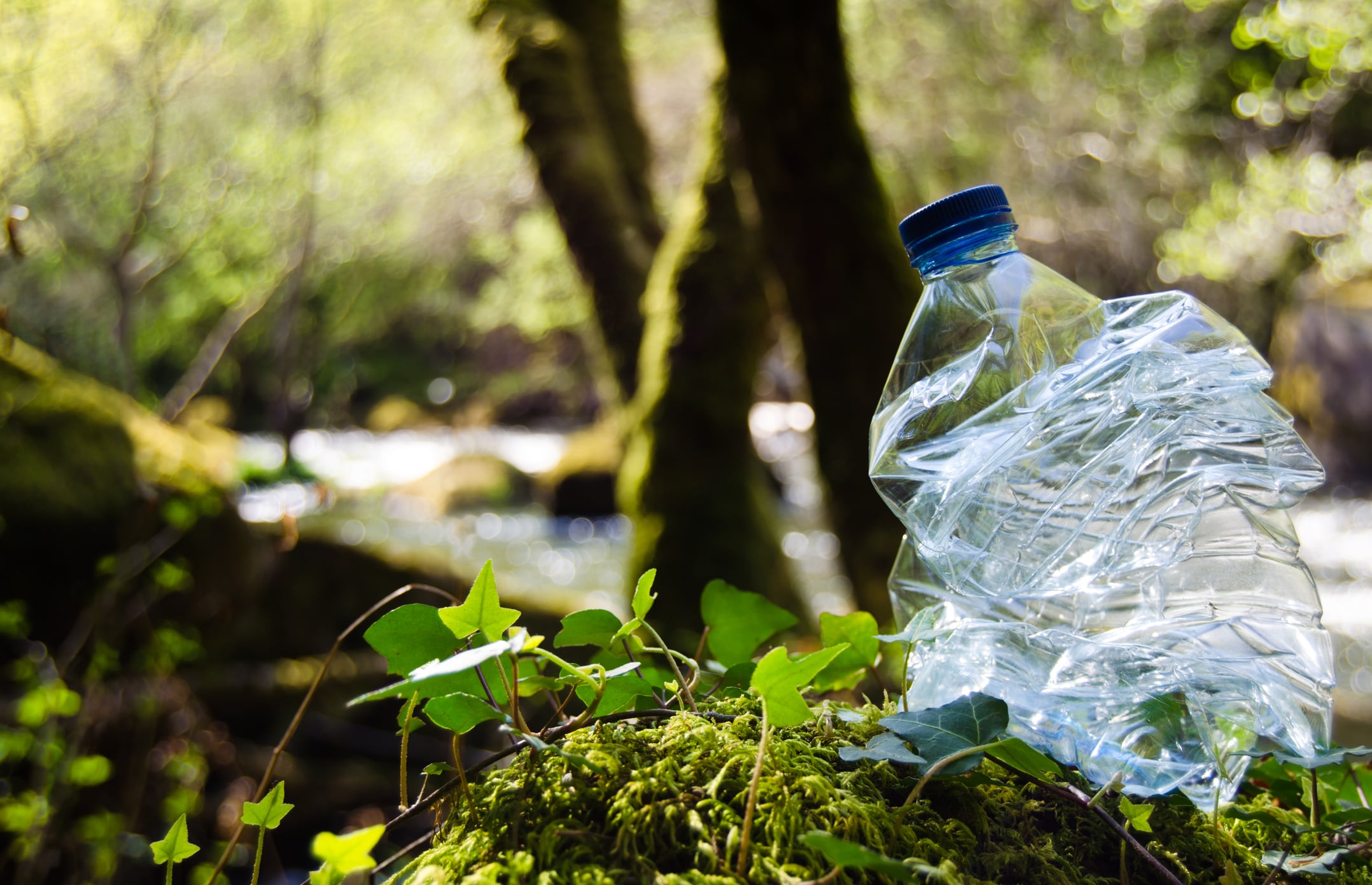 Europe’s EPR: How the EU is harmonising packaging regulation 