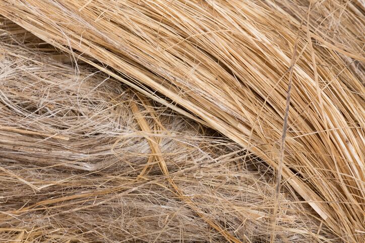 raw-flax-fiber-getty-lior2.jpg