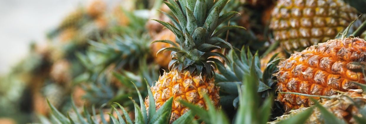 Pineapple flavour of 2026