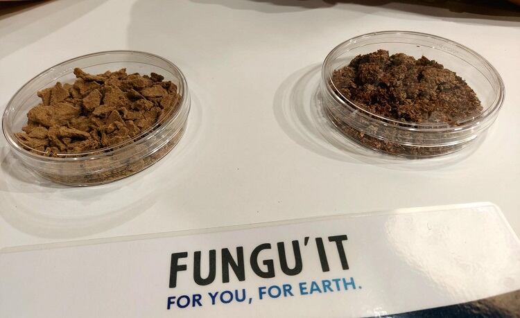 Fungi ingredients for the food industry