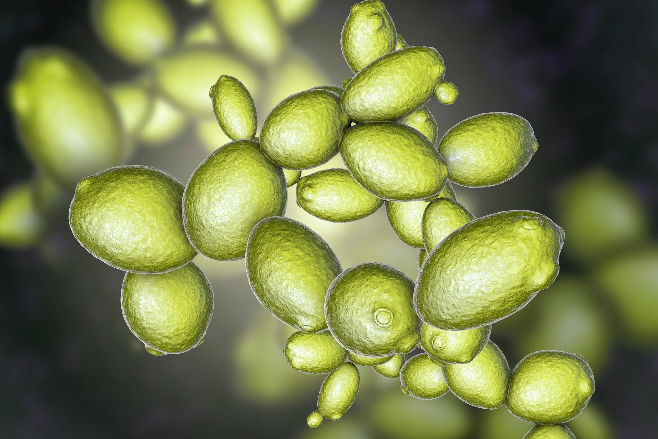 Saccha-Fermented-brewers-spent-yeast-protein-the-tastiest-vegan-protein-in-the-world.jpg