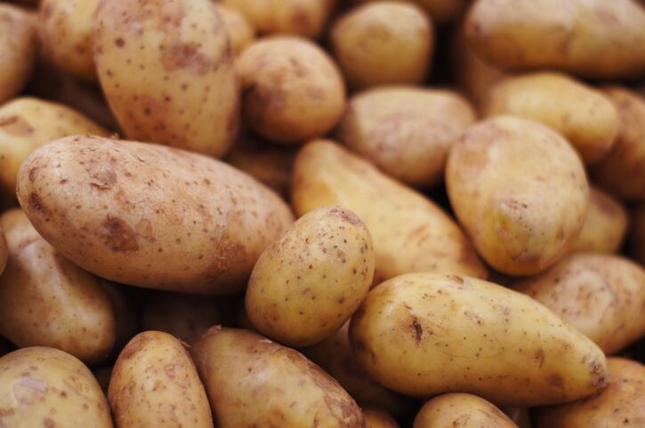Spuds success story? Aussie plans to turn potatoes into prebiotics, low-GI ingredients and vodka