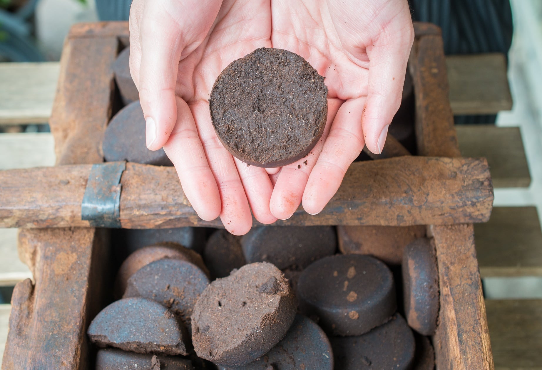 From skincare to shampoo: World’s first coffee biorefinery creates new uses for upcycled coffee grounds 