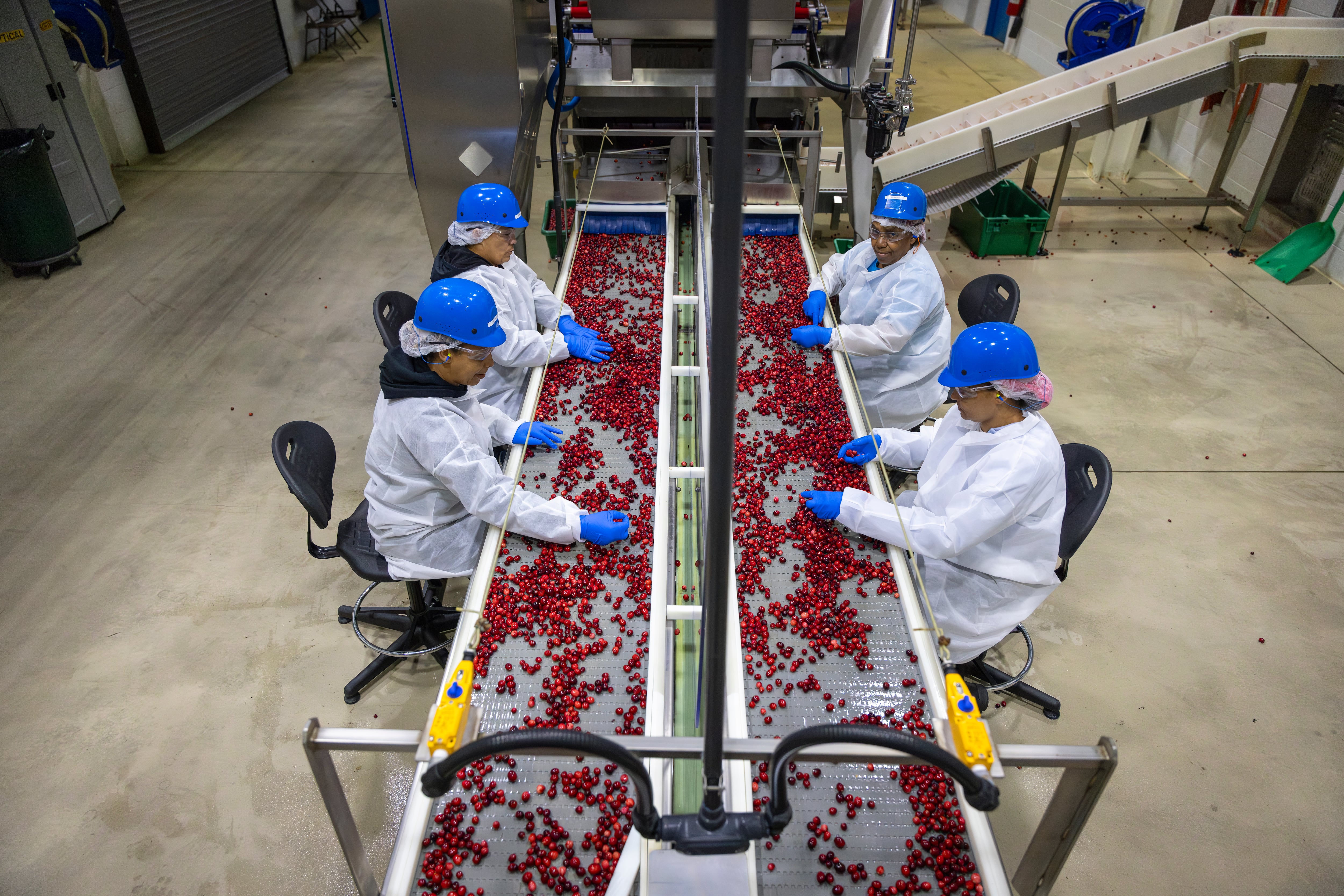 Ocean Spray’s culinary and product development teams consult with customers in CPG and foodservice to provide insight on how best they can incorporate cranberries in their products.