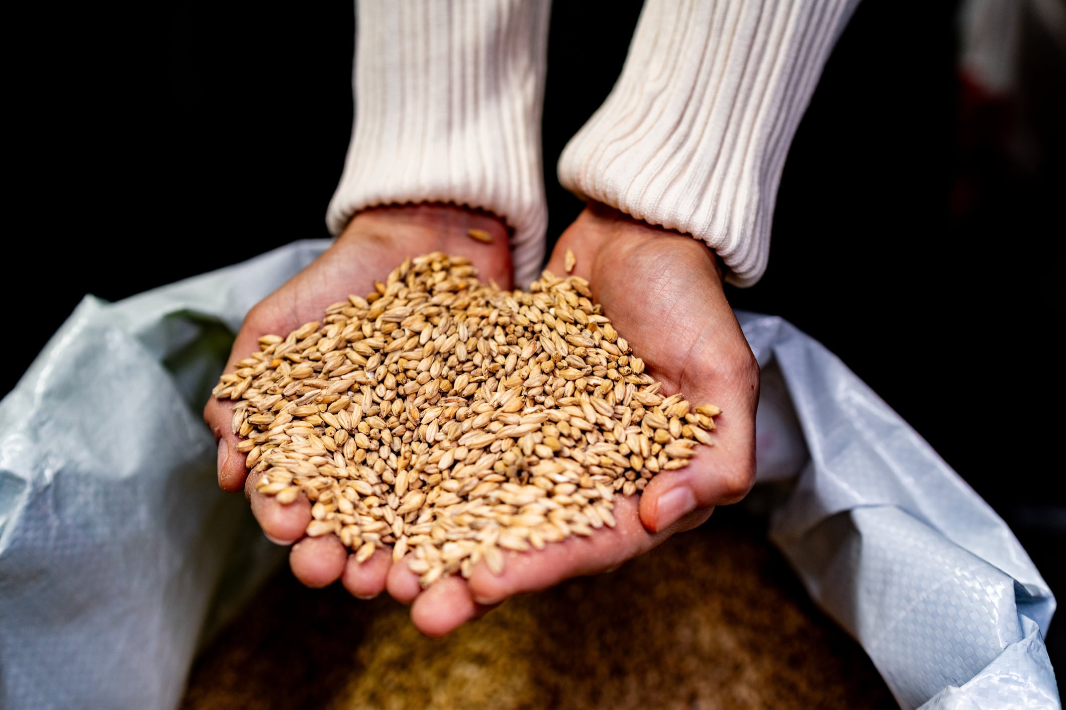 Farming for function: Edacious and ROA put nutrition under the microscope