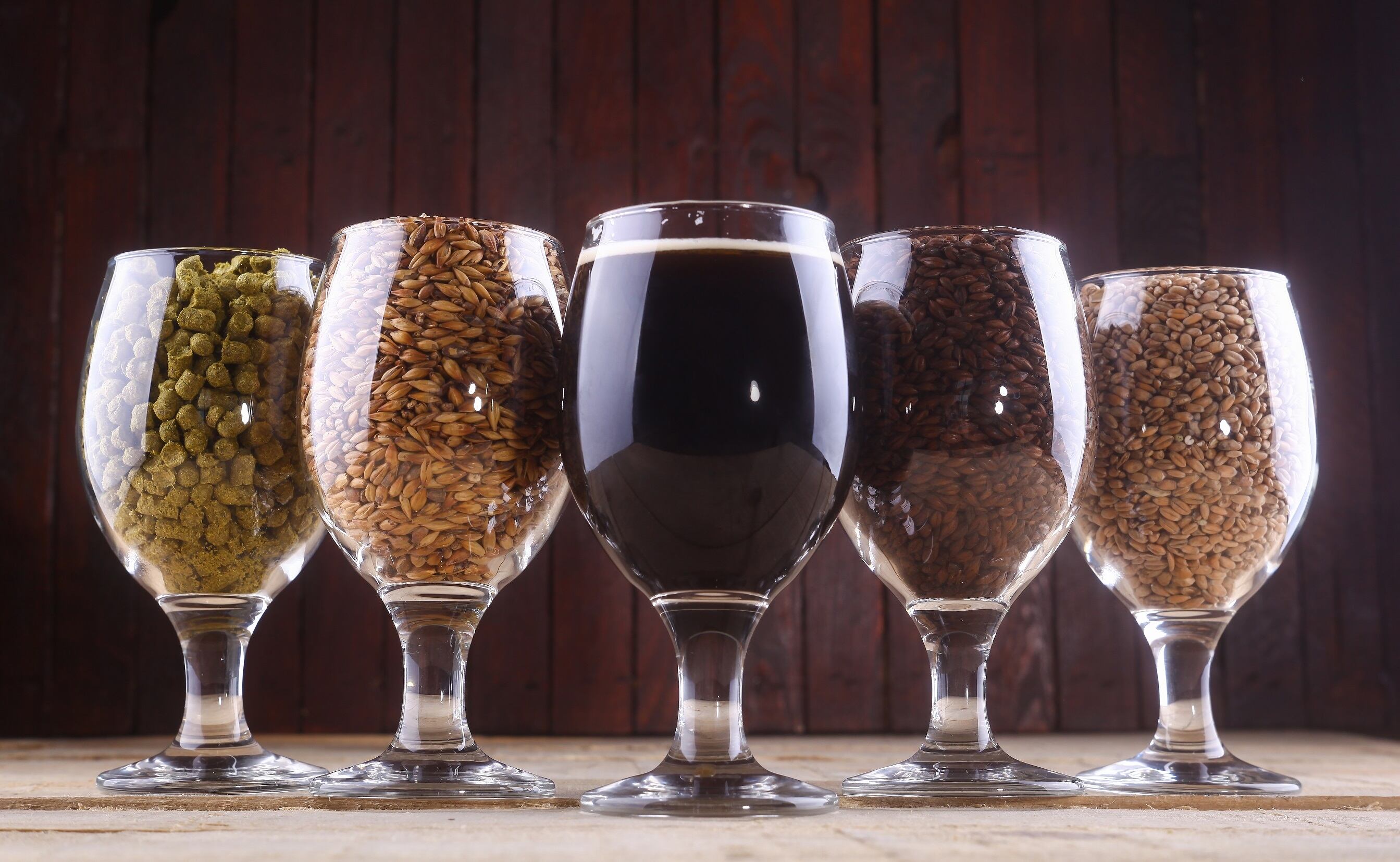 brewing-malt-barley-getty-zmurick_k.jpg