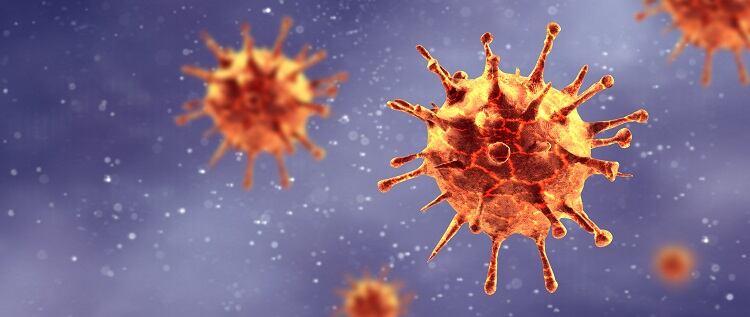 coronavirus-Panorama-Images.jpg