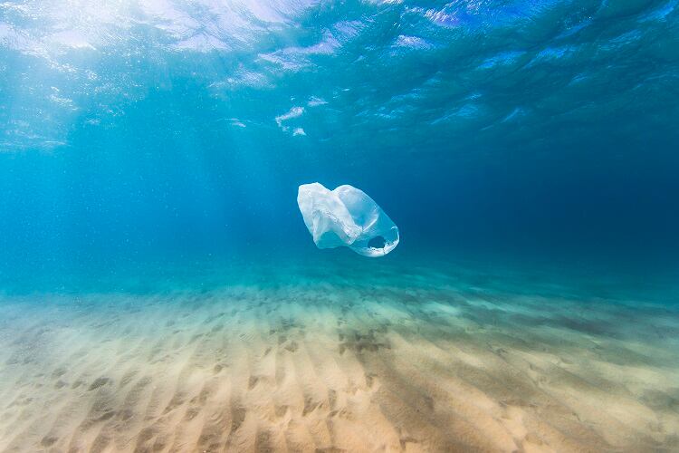 EU-moves-to-ban-forever-chemicals-and-light-plastic-bags-but-throwaway-packaging-still-a-long-way-off.jpg