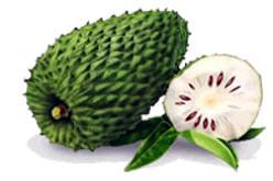 soursop.png