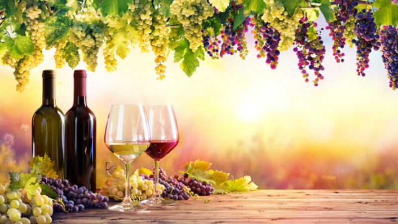 Alcohol-in-Australia-Wine-emerges-as-most-popular-alcoholic-beverage-Down-Under.jpg