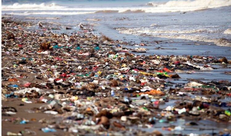 Unilever to halve plastics by 2025