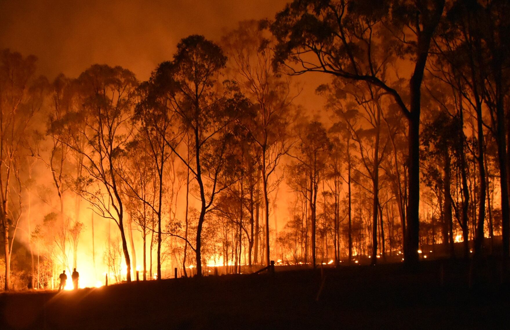 Australian-bushfires-Artisan-distillery-pledges-to-battle-flames.jpg