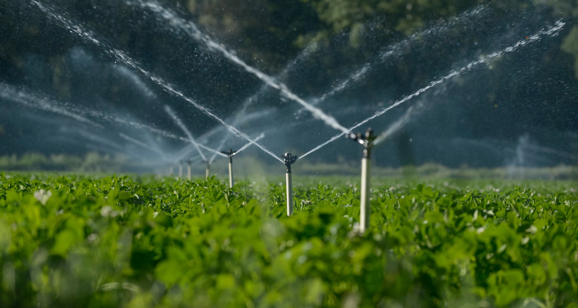 ‘Use vanishing water resources more efficiently’, food companies told   