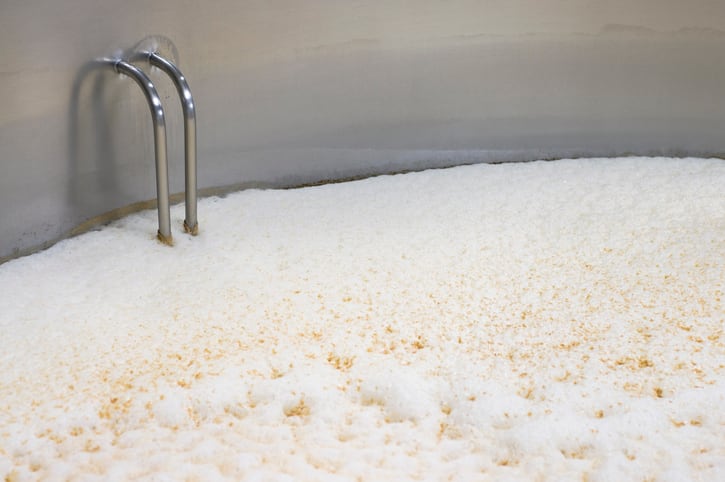 The-elegant-yeast-based-technology-solution-vowing-to-disrupt-the-global-beverage-industry.jpg