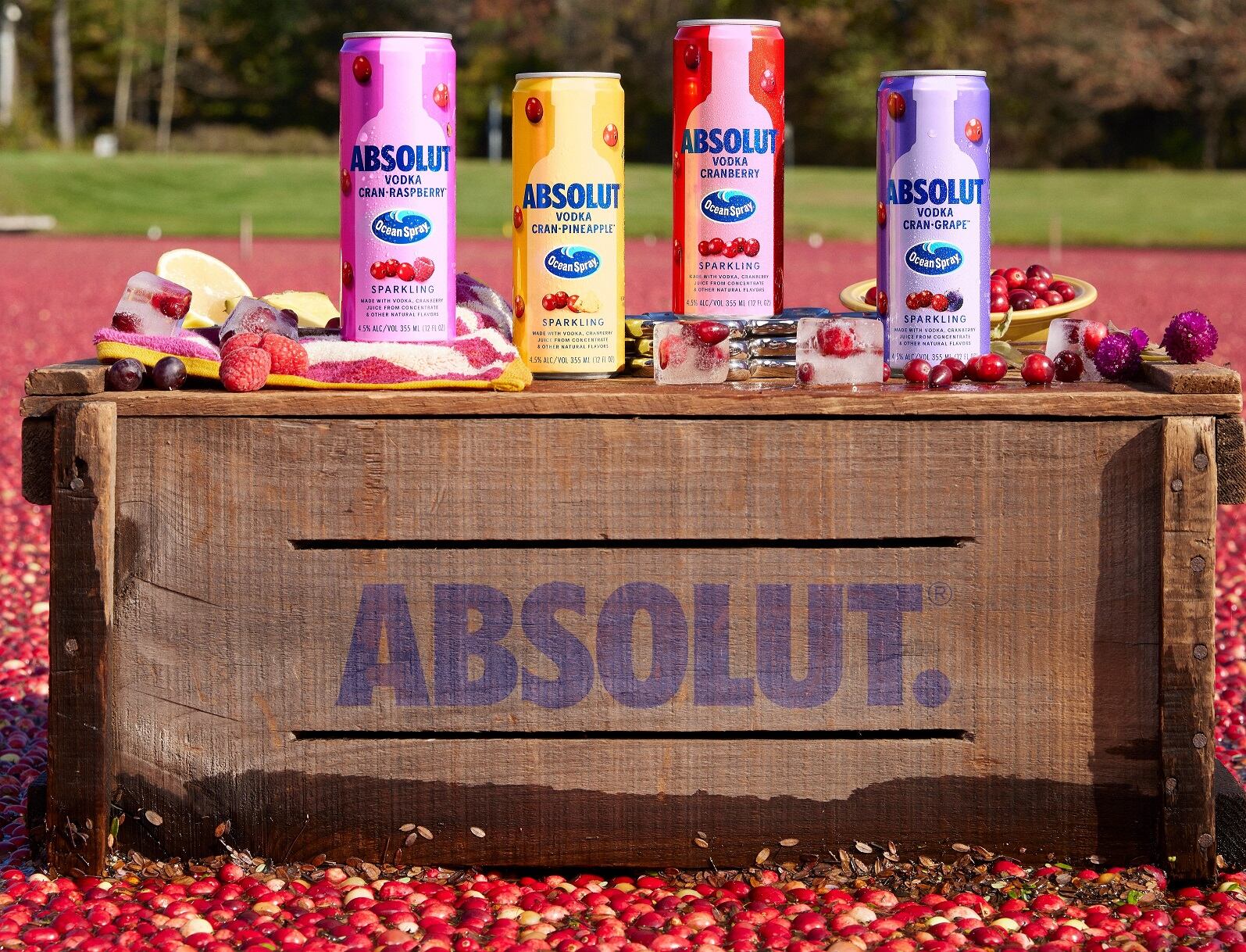 absolut-vodka-cranberry.jpg