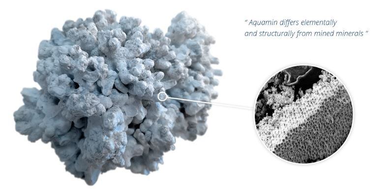 Aquamin-Unique-Marine-Multimineral-Complex.jpg