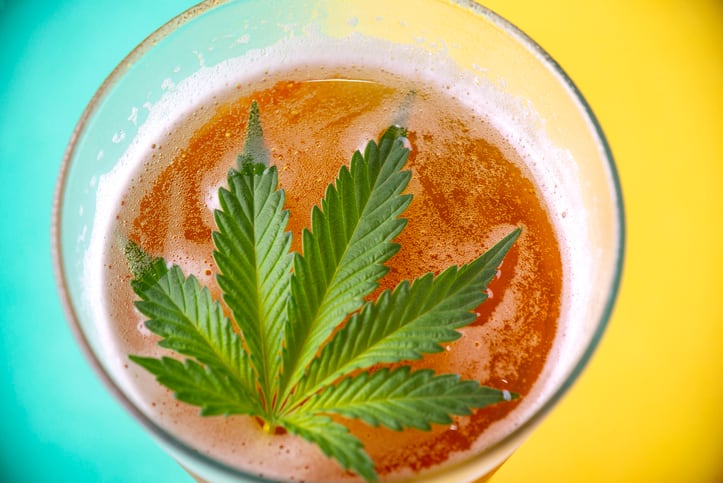 Six months after legalization, Canada’s cannabis edibles market is stalled: ‘We’re just at the beginning of professionalizing this industry’