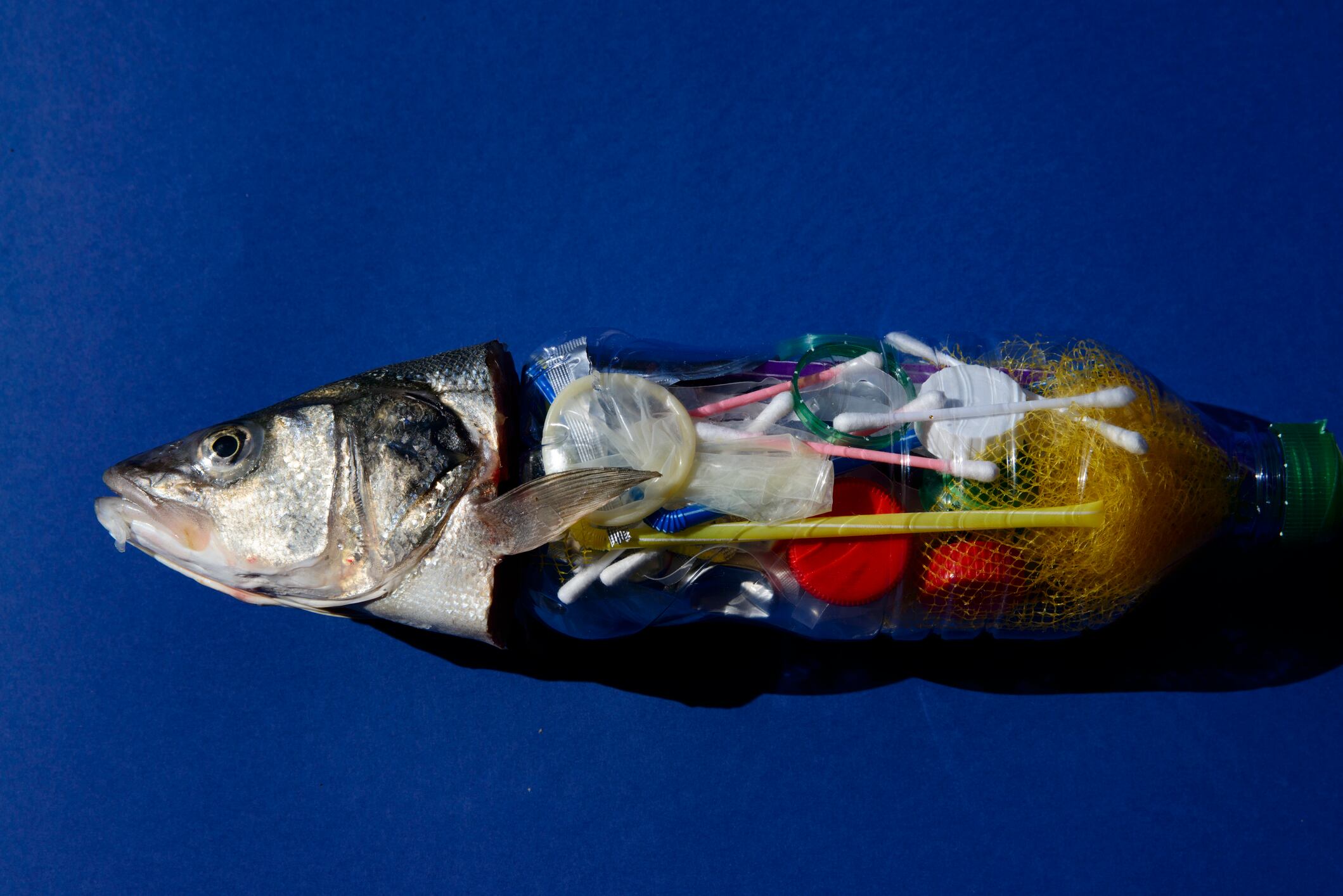 Single-use round-up: EU, England, and Germany address disposable plastics 