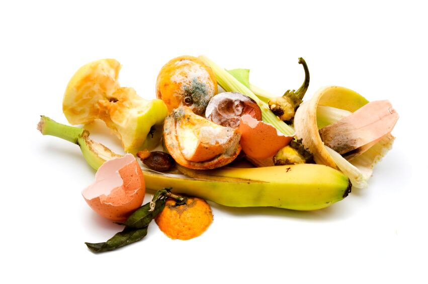 food_waste_iStock_Free.jpg