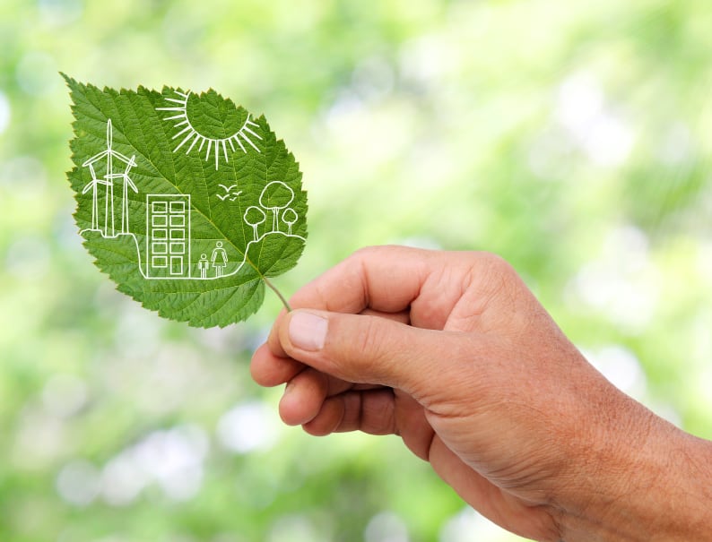 Sustainable brands must embrace ‘net positive’: Euromonitor