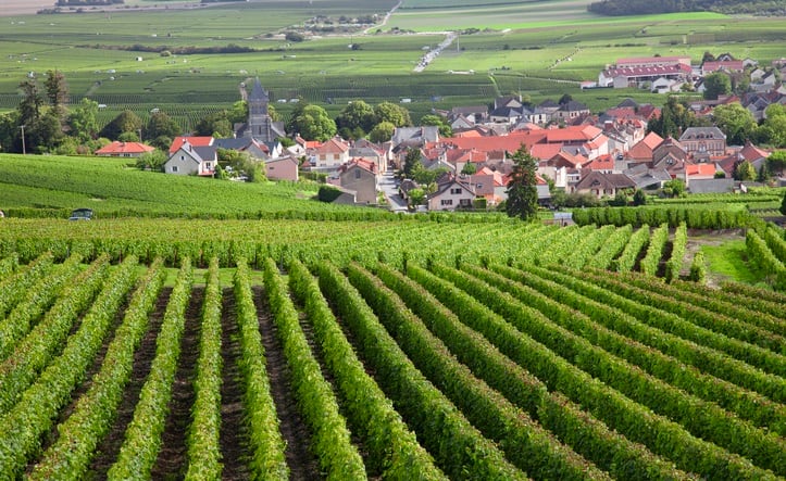 Bourgogne 2023 vintage ‘surpasses all expectations’