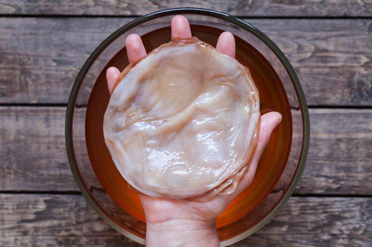 What is an ‘authentic’ kombucha? KBI publishes long-awaited code of practice, proposes industry seal