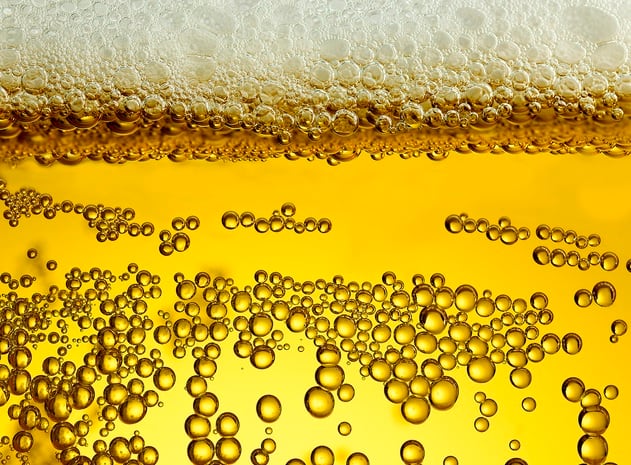 The top brewers and craft brewers in the US