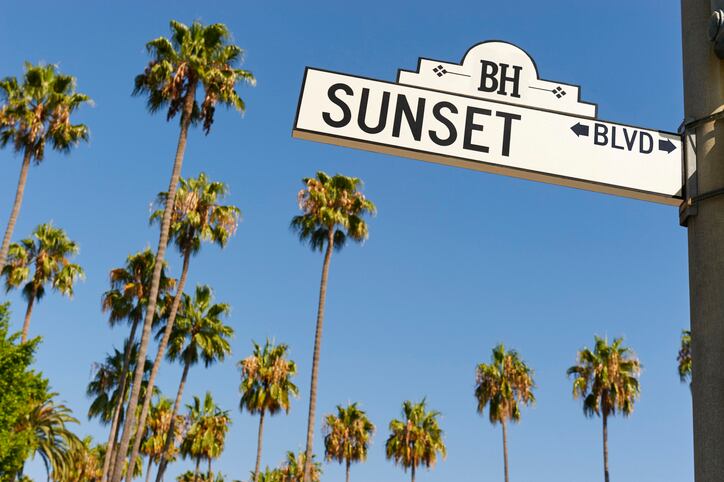 Sunset Boulevard street sign with palm trees in the background.
