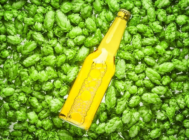 Heineken sets out plans to be carbon neutral across value chain by 2040