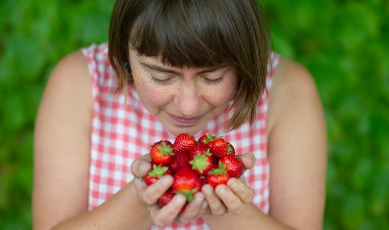 A woman holding a lot of fresh strawberries, looking to them close up