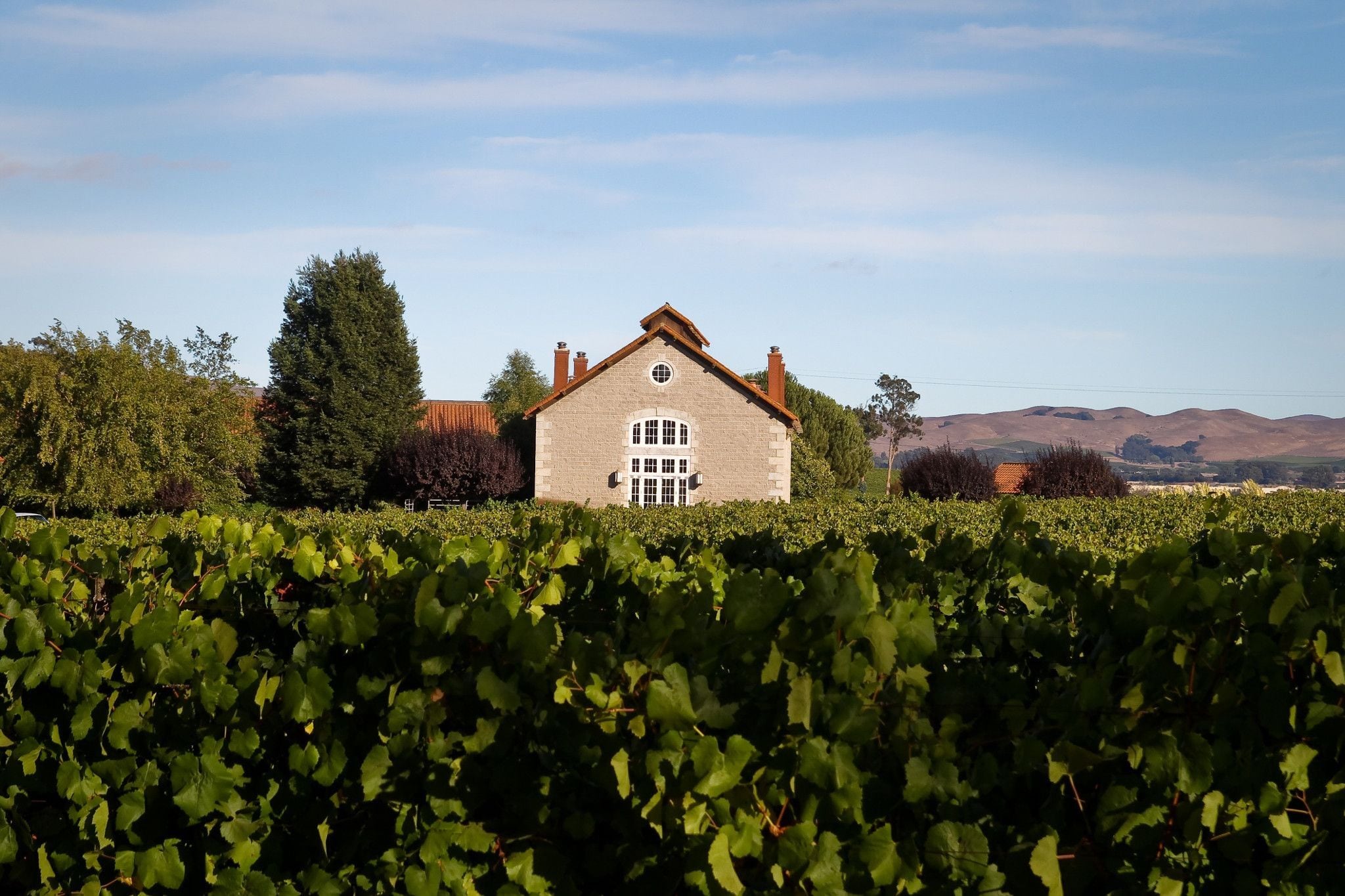 Etude Winery
