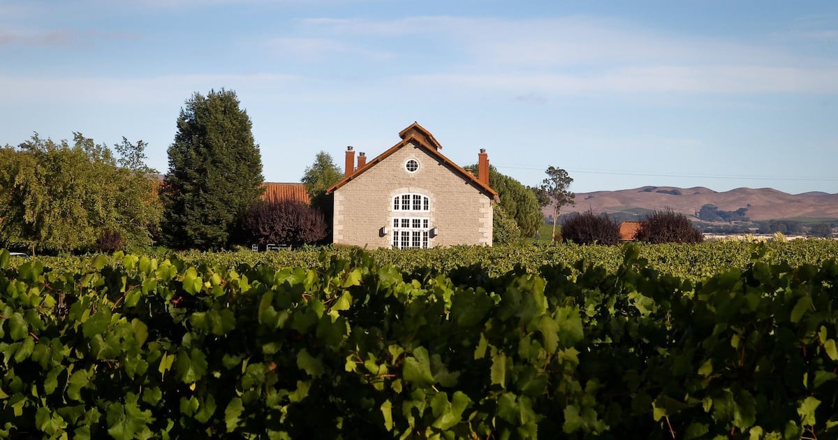 Building up sustainable wineries: from wine kegs to solar power