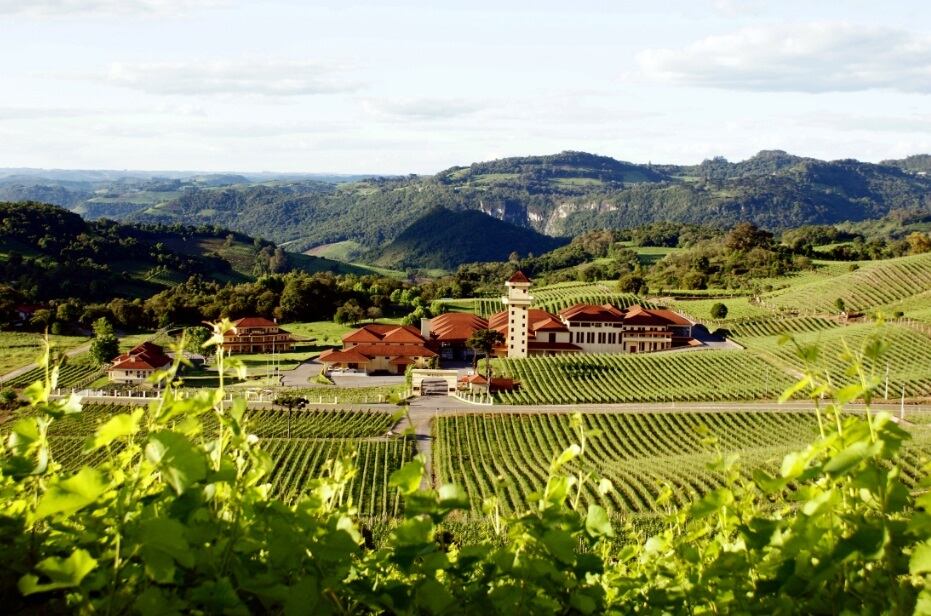 Sparkling surprise: Brazil’s wine industry builds its brand on the global stage