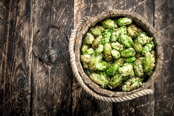 Molson-Coors-buys-Hop-Stuff-Brewery.jpg