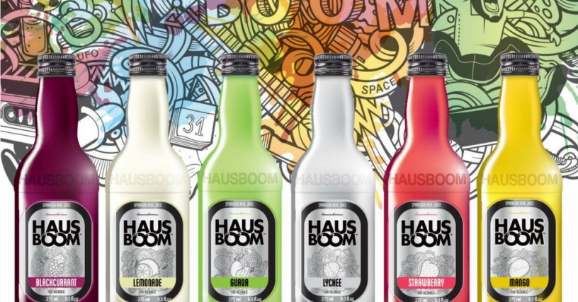 hausboon-2-inset.png