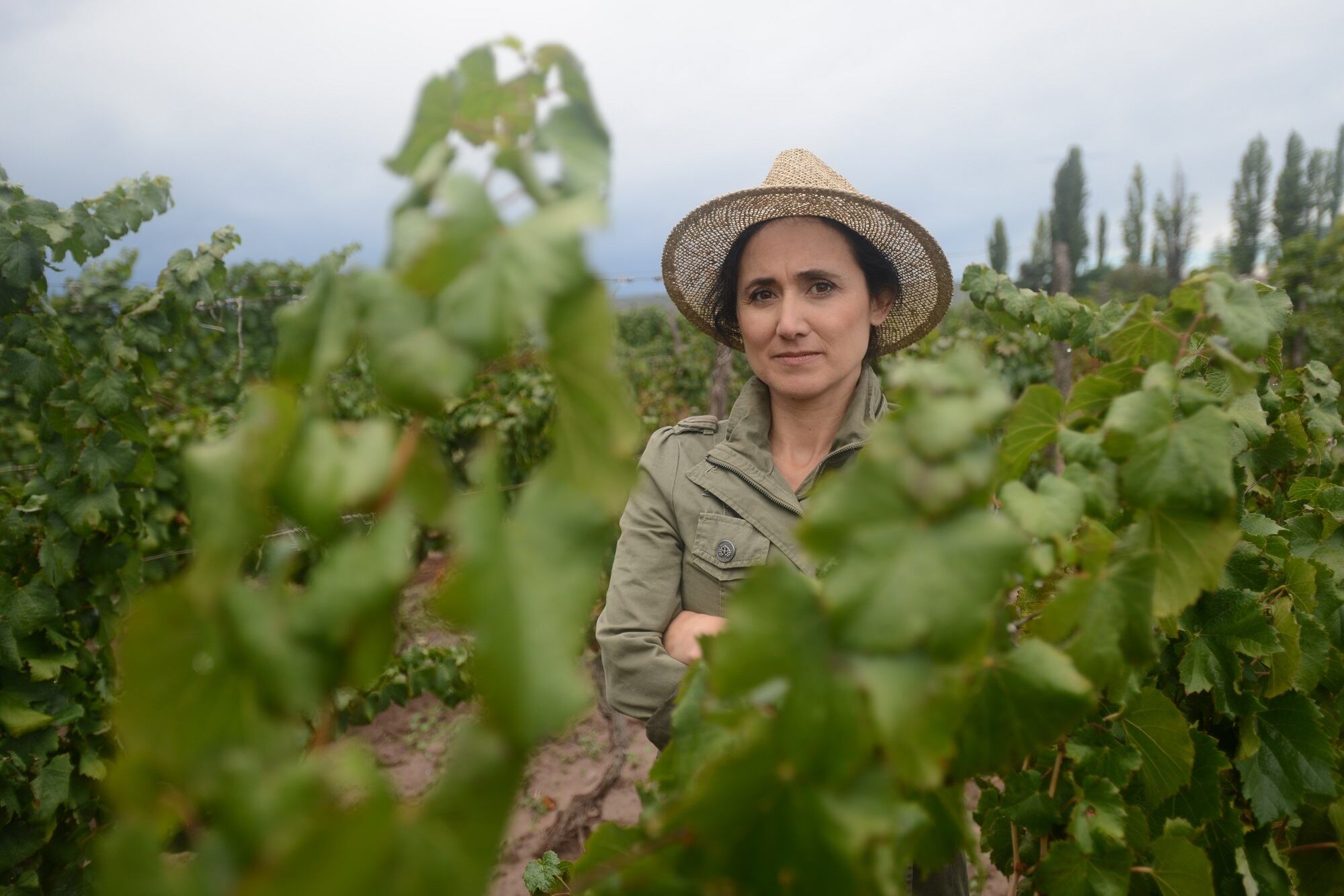 New Honorary President for WSET