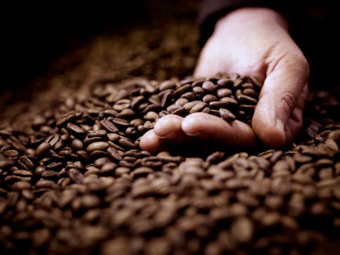 coffee