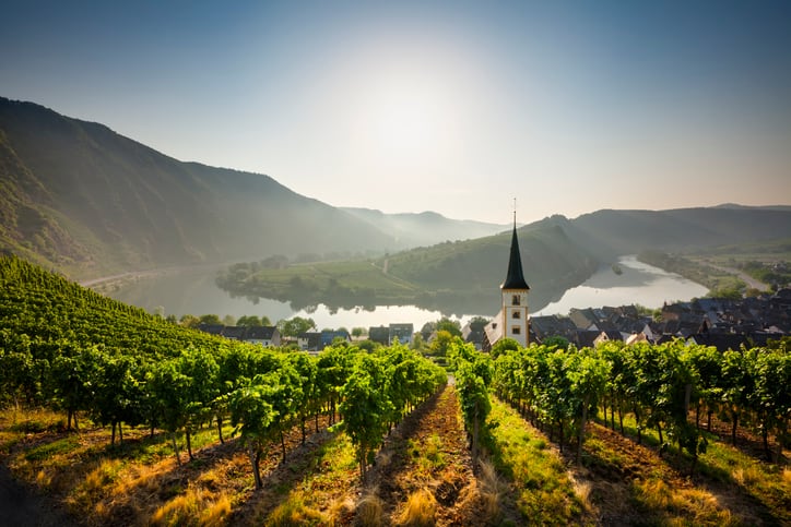 The vineyards of Bremm and the loop of the Moselle