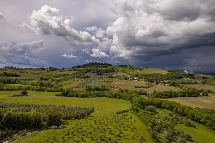 Global-wine-production-down-9.6-as-extreme-climatic-conditions-severely-impact-vineyards.jpg