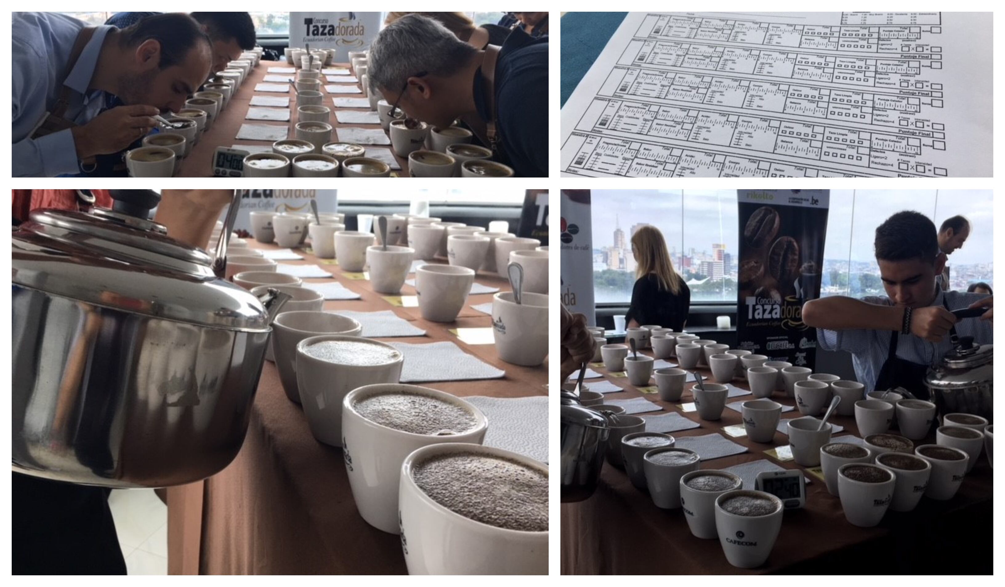 taza-comp.jpg